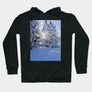 Frost Hoodie